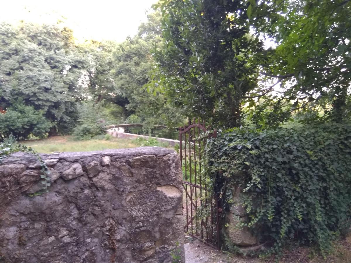Apartment Jankovich Castle *