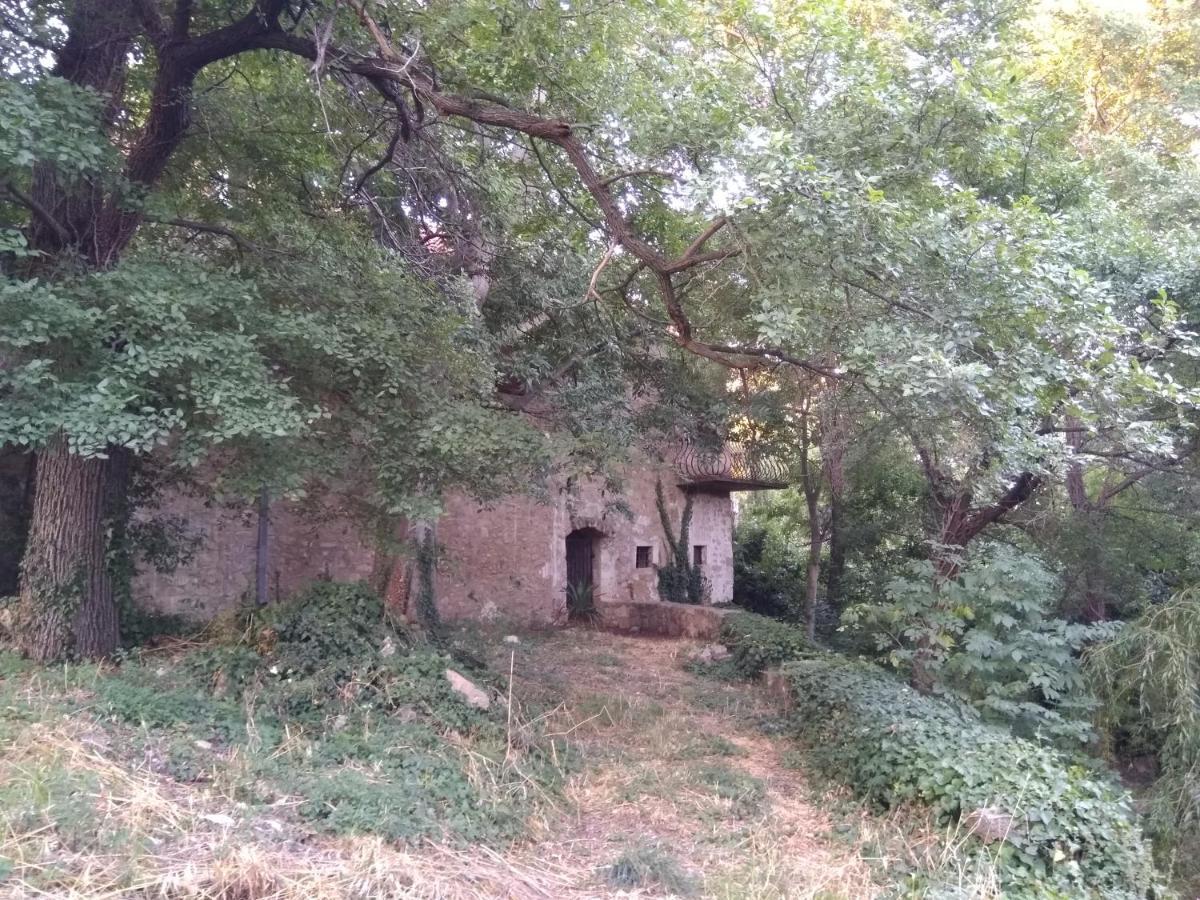 Jankovich Castle * Benkovac